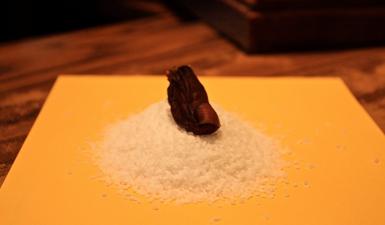Man Steals Mummified Human Toe from Bar ... Wait, What?