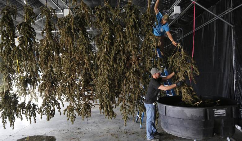 Gardner, Warren Marijuana Bill 'a Real Big Test, an Opportunity for Federalism'