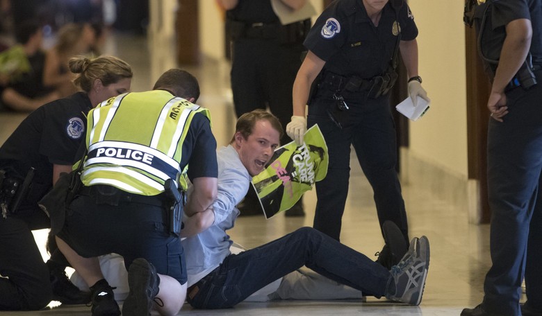 80 Arrested at Capitol Protesting GOP Healthcare Bill