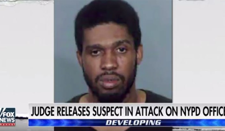 Judge Releases Mentally Ill Man Accused of Assaulting NYPD Cop, Trying to Steal Her Gun