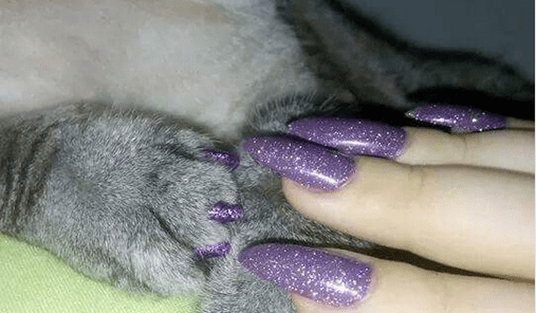 Matching Pet Manicures? You Better Believe They're a Thing Now!