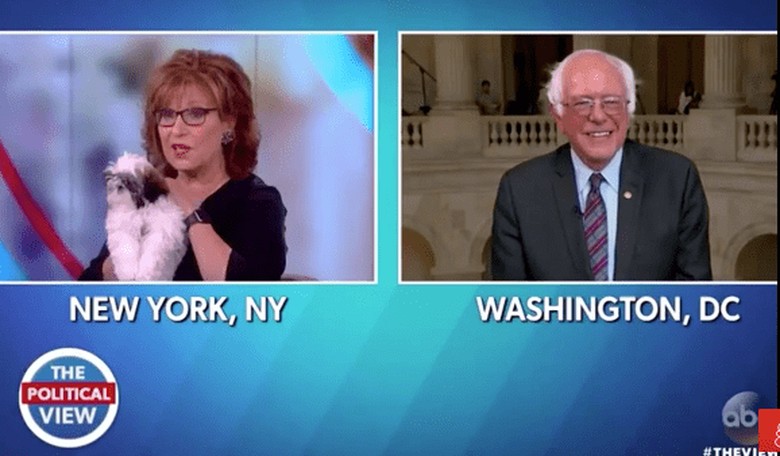 Joy Behar Named Her Dog 'Bernie'...