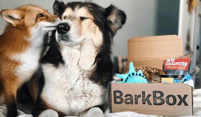Subscription Services That You Need in Your Life