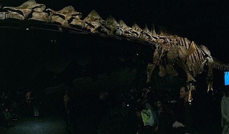 Introducing Patagotitan: Earth’s Largest Dinosaur at 130 Feet