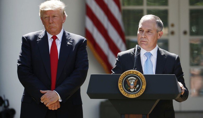 'A Wave of Eco-Terrorism Against the Trump Administration'