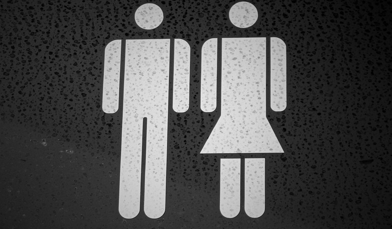 What the Bible Says About Gender