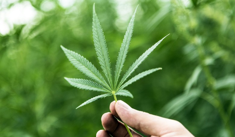 Cannabis Company Buys Entire Calif. Town Hoping to Turn it into a Pot Mecca