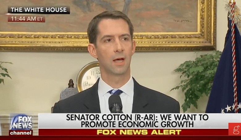 GOP Senator Says They Want to Give Green Cards Mostly to Educated English Speakers