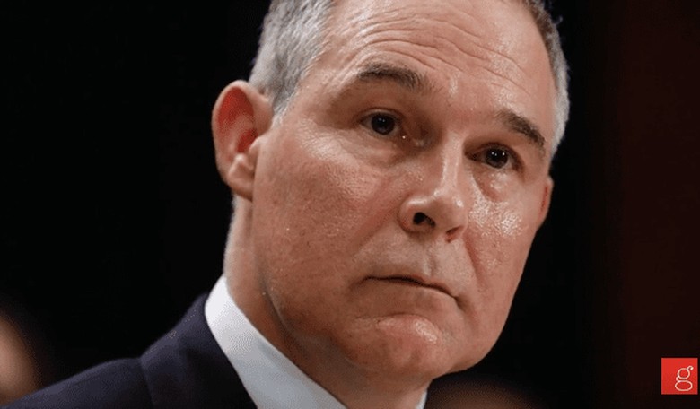 EPA Administrator Calls Trump Courageous for Dropping out of the Paris Accord
