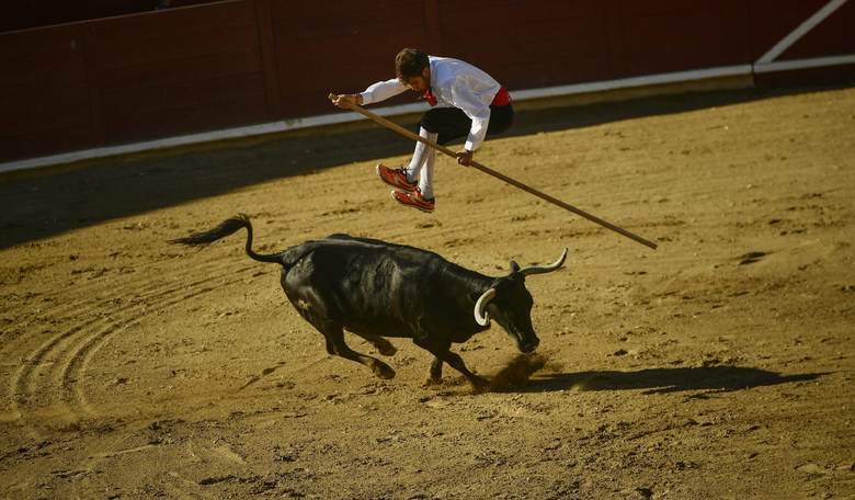 If You Run With the Bulls, You Get the Horns