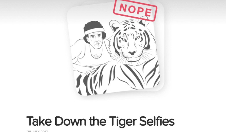 After PETA Complaints, Tinder Tells Users to Replace Tiger Selfies with Eco Images