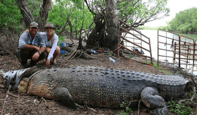 Internet Outraged Over Capture of Mammoth Croc in Australia