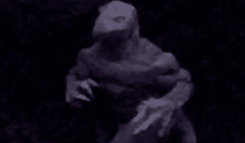 Beware the Lizard Man During Eclipse, South Carolina Authorities Warn