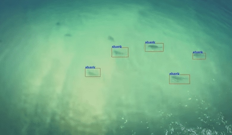 Australia Plans to Begin Using Drones to Patrol Beaches for Sharks