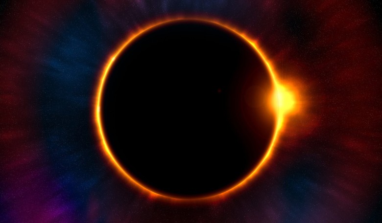 In the Dark of the Sun