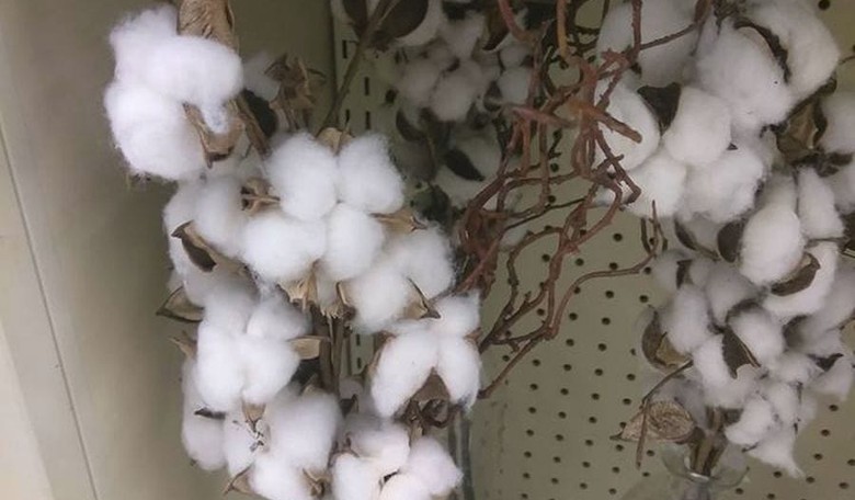 Even Hobby Lobby Cotton Is Racist These Days