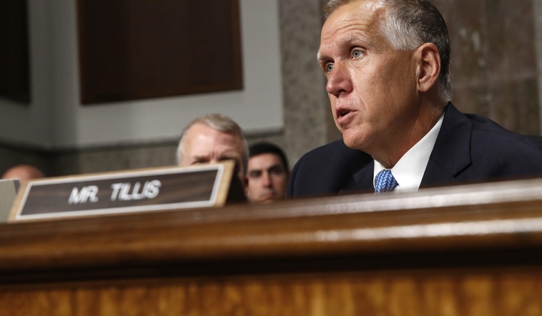Conservative Challenger Gaining on NC Senator Thom Tillis as Dems Close In