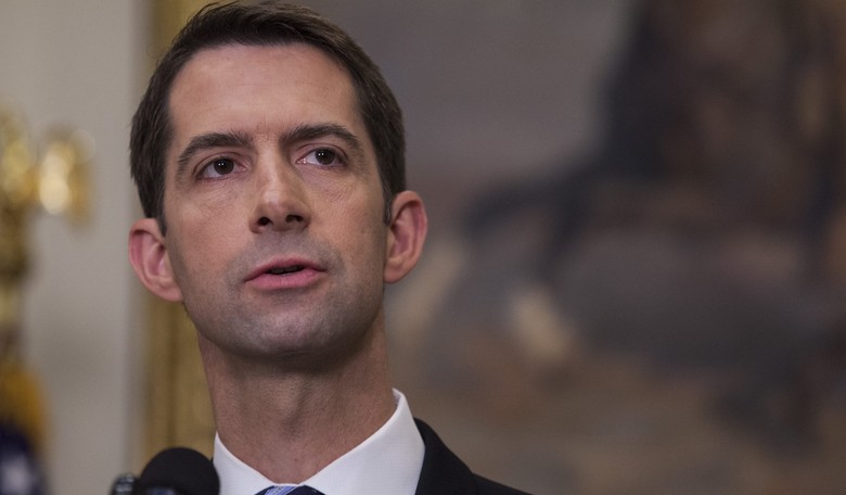 Sen. Cotton Floats Bill to 'Mitigate Consequences' of Not Deporting 'Childhood Arrivals'