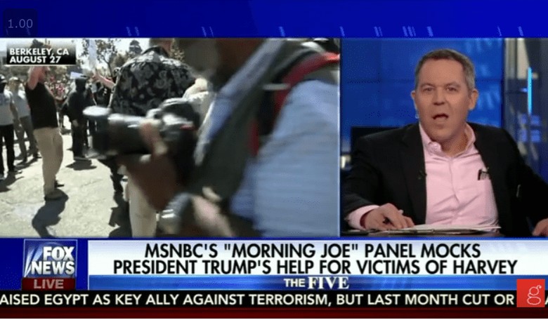 Gutfeld Slams Pettiness of 'Morning Joe' Panel for Mocking Trump's Hurricane Response