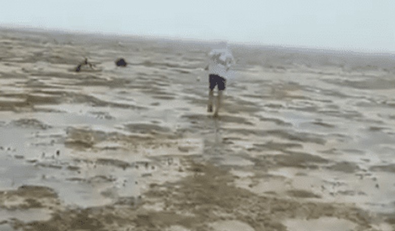 Biblical Proportions: No More Ocean 'As Far as the Eye Can See' After Irma Sucks It Away