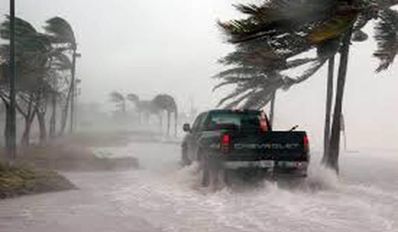 Not Even Two Hurricanes Can Stop Trump Derangement Syndrome