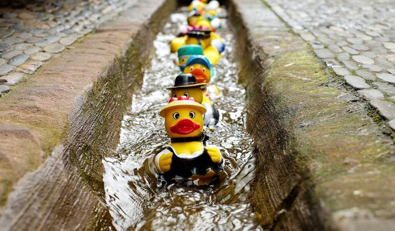 Ohio State Student Refuses to Reveal Preferred Pronouns:  'If It Looks Like a Duck...'