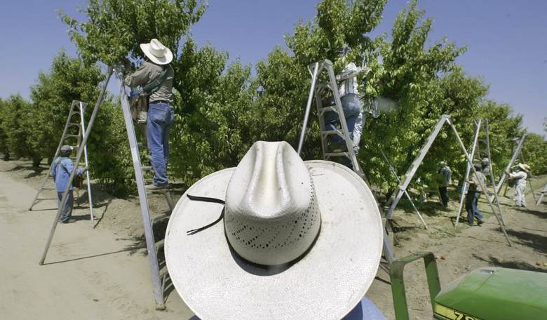 House Dems Accuse Pruitt, Trump of Catering to Big Ag on Pesticide