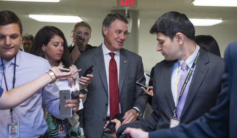 GOP Senator: GOP Must 'Prove to America That We Can Govern' with Tax Reform