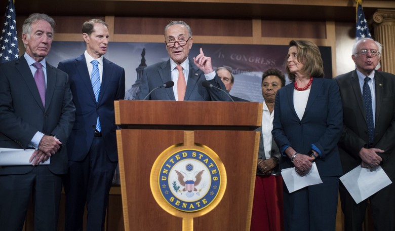 'You Fashioned Yourself as a Strong Man': Schumer Appeals to Trump to 'Buck the NRA'