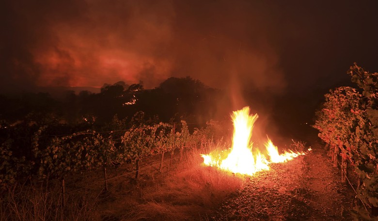 ISIS Details Devastation of California Wildfires in Caliphate Newsletter