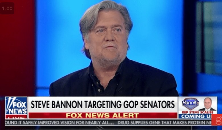 Bannon 'Declaring War' on Republicans Who Don't Back President's Agenda