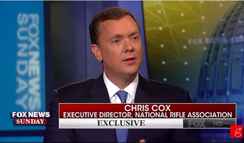 NRA Exec. Director: Bans Never Work for Anything