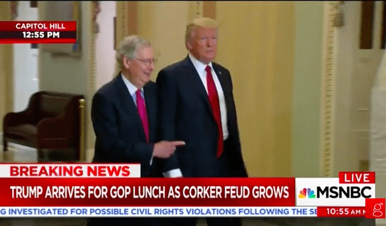 A Protester Cornered Trump and McConnell, Yelling 'Treason'