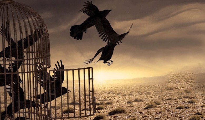 The Las Vegas Shooting and the Attack of the Carrion Crows