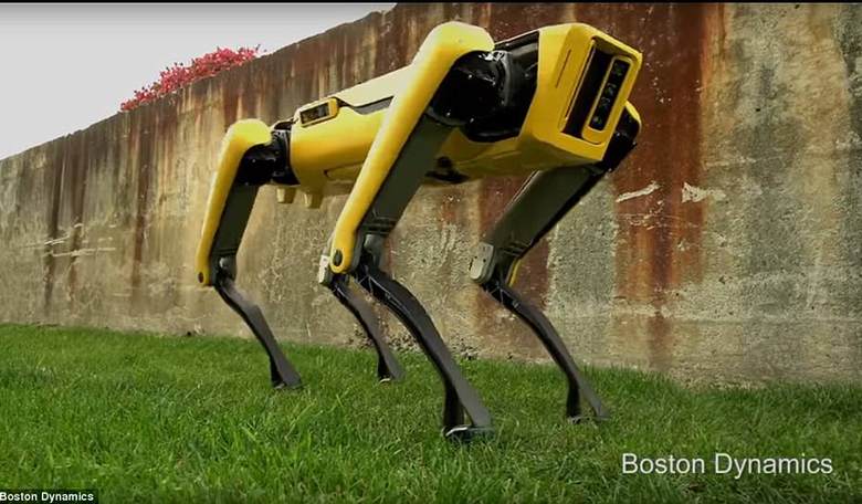 Meet the Four-Legged Robot Dog of the Future