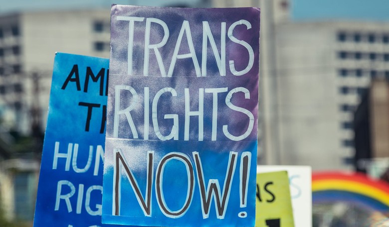 Democrats Deeply Divided on Transgender Issues, Pew Survey Finds