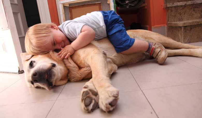 Exposure to Dogs Protects Children from Eczema and Asthma, Study Finds