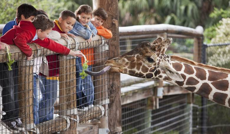 6 'Experience' Gifts That Will Delight the Kids on Your Christmas List