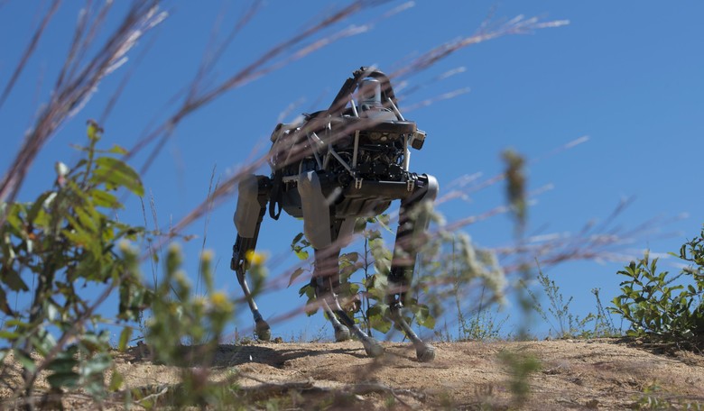 Google Exec: World Will Survive Artificial Intelligence's ‘Difficult Episodes’ to Come