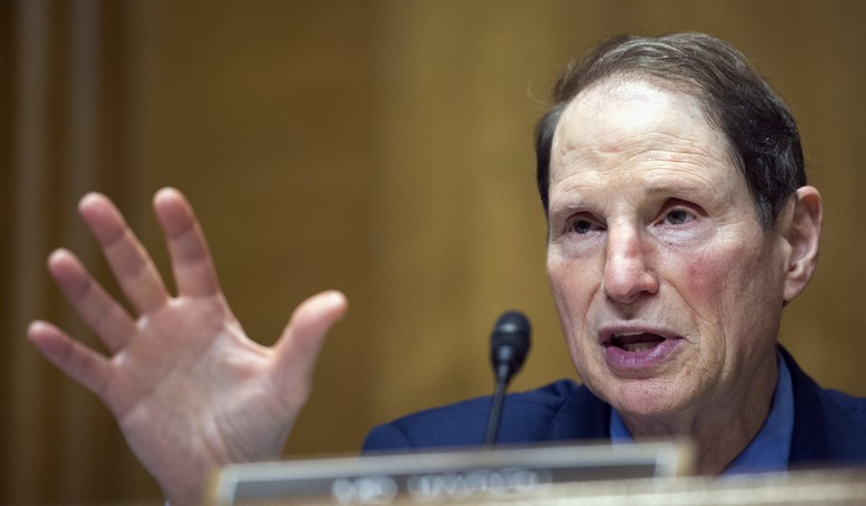 Dem Vows to Shut Down Senate Over Any Bill Requiring Companies to Give 'Back Door' Access to Encrypted Info