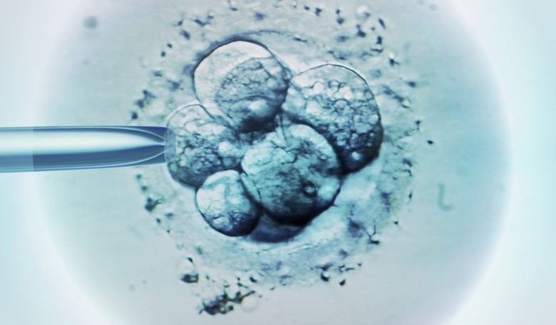 UK Artificial Sperm, Egg Breakthrough Could Mean Homosexuals Can Be Biological Parents