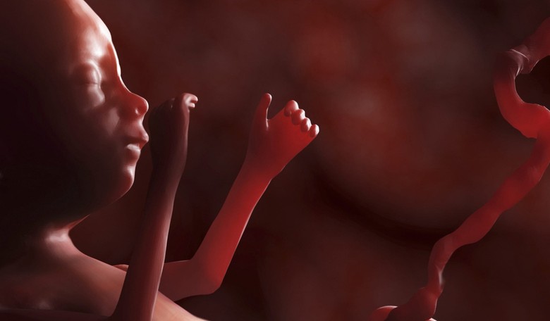 Planned Parenthood Finally Admits Fetus in Womb Is a Baby