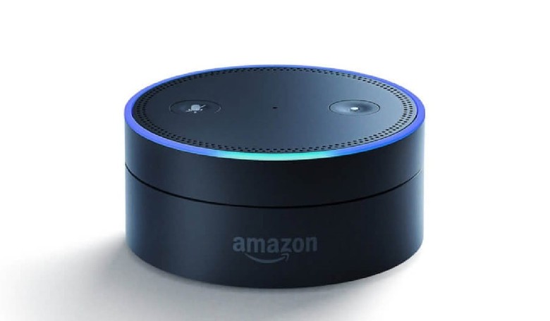 Amazon Alexa Weighs in on the Midterm Elections