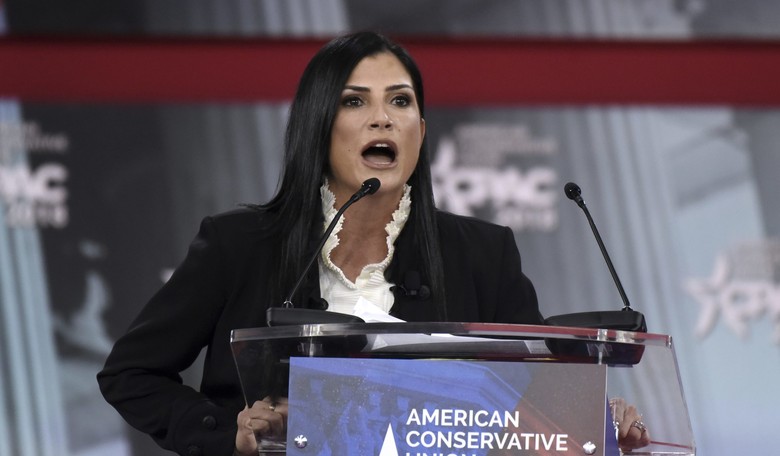 Parkland Survivors Attack Dana Loesch's Children