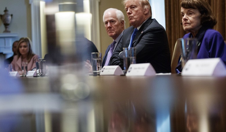 Trump on 'Crazy' Owners: 'Take the Guns First, Go Through Due Process Second'