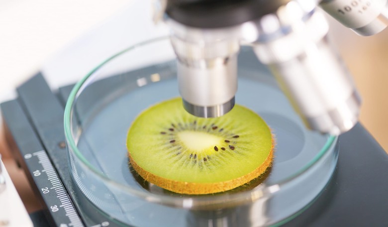 Edible 'Smart' Tattoos on Food Could Track Health, Monitor Food Supply