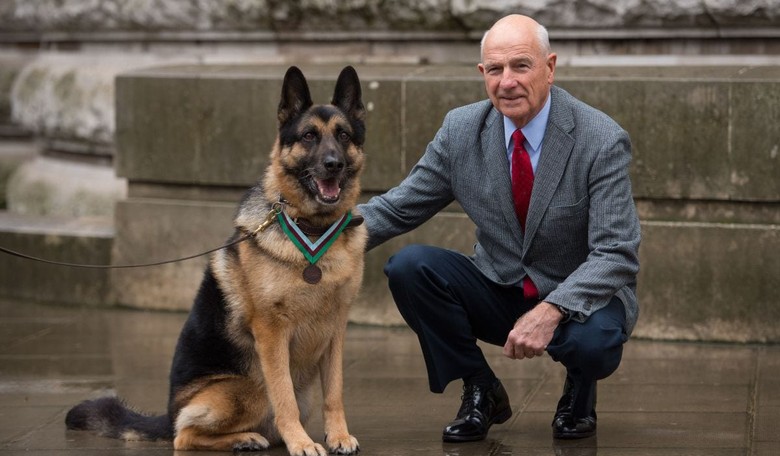 The Forgotten War Dogs of Afghanistan