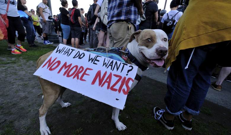 Man Convicted of Hate Crime for Video of Dog Making Nazi Salute
