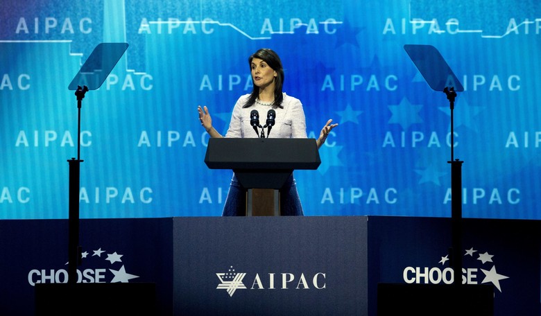Haley Says UN Job is About Having 'Absolutely No Patience for Bullying'