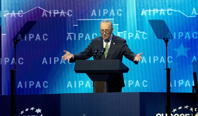 Schumer Fears Younger Americans 'Don't Share Same Devotion to Israel'